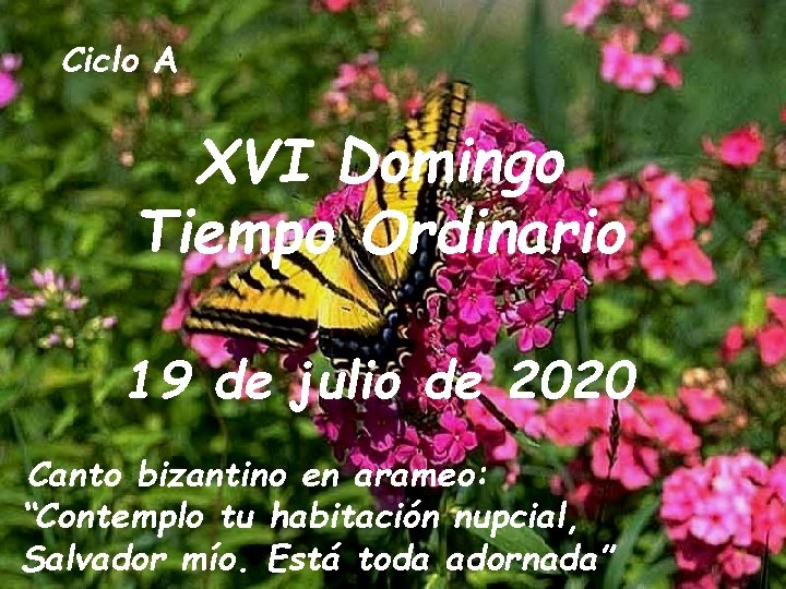 Ciclo A XVI Domingo Tiempo Ordinario 19 de julio de 2020 Canto bizantino en