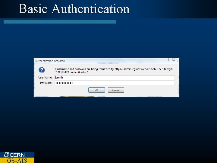 Basic Authentication CERN GS-AIS 