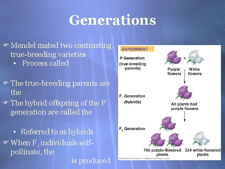 Generations F Mendel mated two contrasting, true-breeding varieties • Process called F The true-breeding