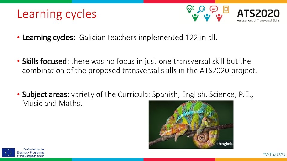 Learning cycles • Learning cycles: Galician teachers implemented 122 in all. • Skills focused: