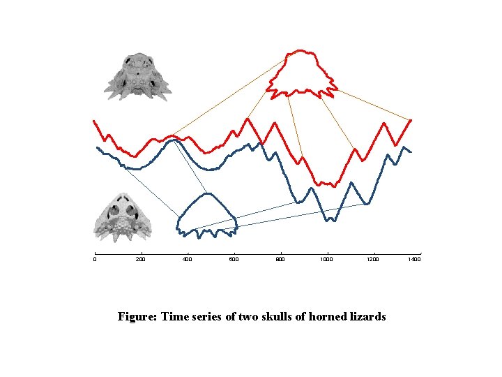 0 200 400 600 800 1000 1200 Figure: Time series of two skulls of 0 200 400 600 800 1000 1200 Figure: Time series of two skulls of