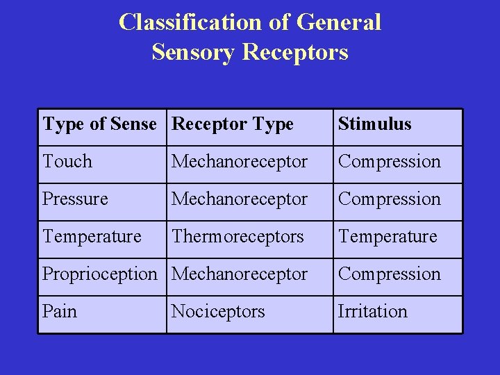Classification of General Sensory Receptors Type of Sense Receptor Type Stimulus Touch Mechanoreceptor Compression Classification of General Sensory Receptors Type of Sense Receptor Type Stimulus Touch Mechanoreceptor Compression