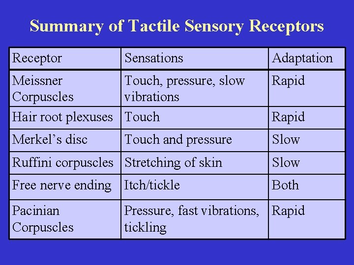 Summary of Tactile Sensory Receptors Receptor Sensations Adaptation Meissner Touch, pressure, slow Corpuscles vibrations