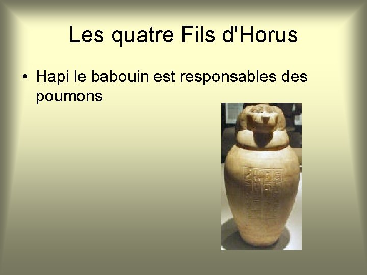 Les quatre Fils d'Horus • Hapi le babouin est responsables des poumons 