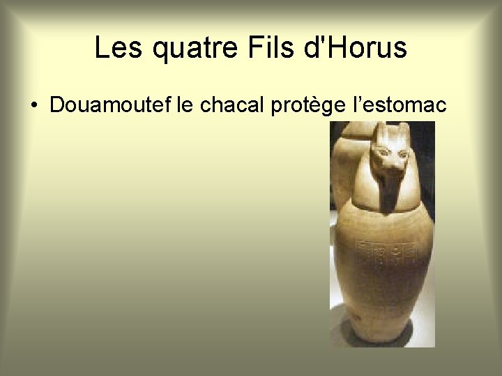 Les quatre Fils d'Horus • Douamoutef le chacal protège l’estomac 