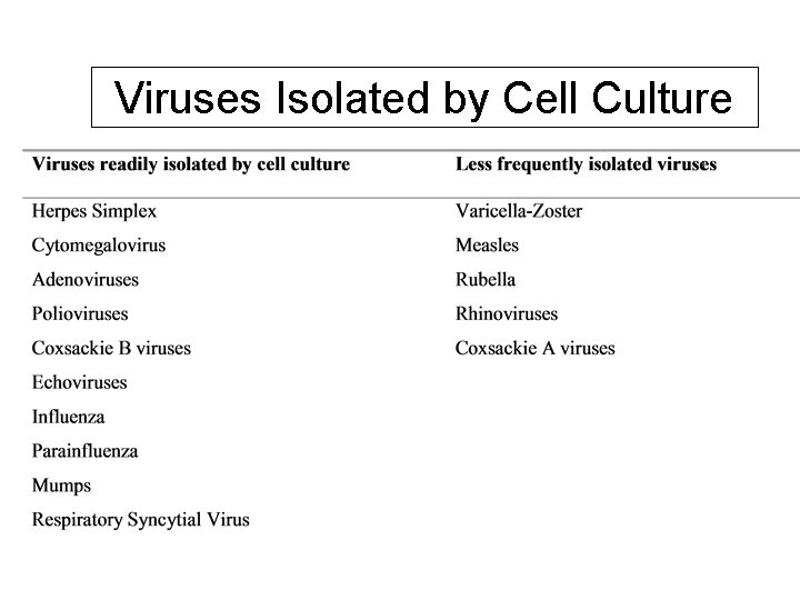 Viruses Isolated by Cell Culture 