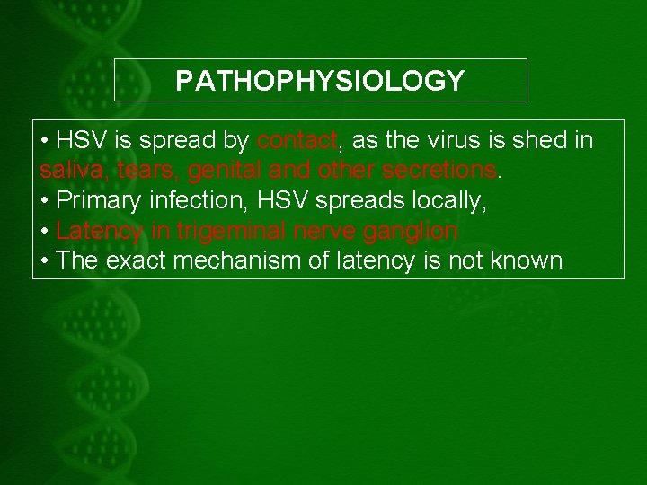 PATHOPHYSIOLOGY • HSV is spread by contact, as the virus is shed in saliva,