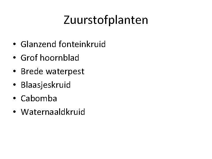Zuurstofplanten • • • Glanzend fonteinkruid Grof hoornblad Brede waterpest Blaasjeskruid Cabomba Waternaaldkruid 