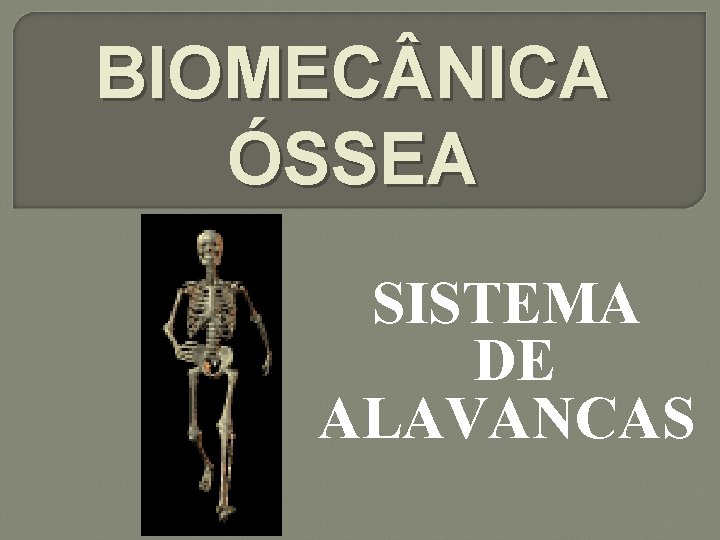 BIOMEC NICA ÓSSEA SISTEMA DE ALAVANCAS 