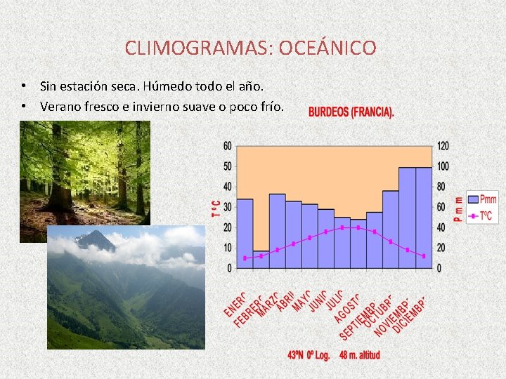 CLIMOGRAMAS: OCEÁNICO • Sin estación seca. Húmedo todo el año. • Verano fresco e CLIMOGRAMAS: OCEÁNICO • Sin estación seca. Húmedo todo el año. • Verano fresco e