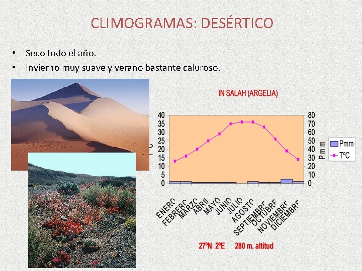 CLIMOGRAMAS: DESÉRTICO • Seco todo el año. • Invierno muy suave y verano bastante CLIMOGRAMAS: DESÉRTICO • Seco todo el año. • Invierno muy suave y verano bastante