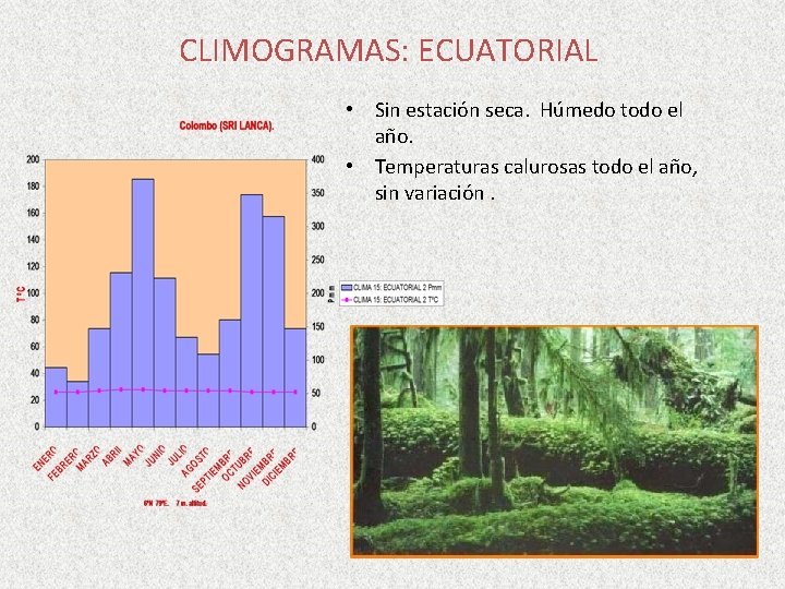 CLIMOGRAMAS: ECUATORIAL • Sin estación seca. Húmedo todo el año. • Temperaturas calurosas todo CLIMOGRAMAS: ECUATORIAL • Sin estación seca. Húmedo todo el año. • Temperaturas calurosas todo