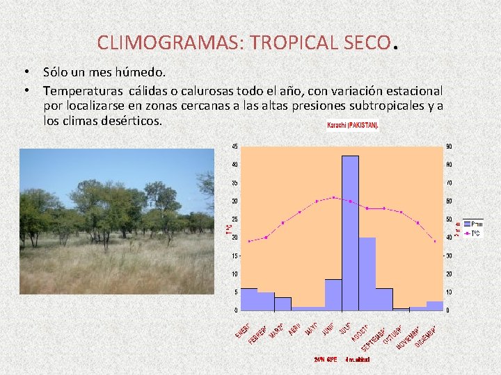 CLIMOGRAMAS: TROPICAL SECO. • Sólo un mes húmedo. • Temperaturas cálidas o calurosas todo CLIMOGRAMAS: TROPICAL SECO. • Sólo un mes húmedo. • Temperaturas cálidas o calurosas todo