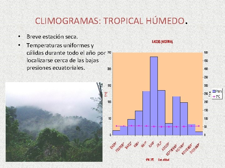 CLIMOGRAMAS: TROPICAL HÚMEDO. • Breve estación seca. • Temperaturas uniformes y cálidas durante todo CLIMOGRAMAS: TROPICAL HÚMEDO. • Breve estación seca. • Temperaturas uniformes y cálidas durante todo