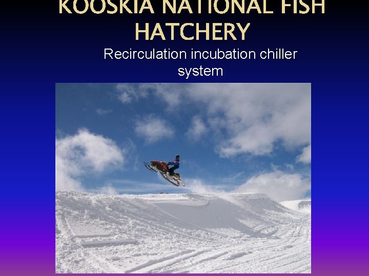 KOOSKIA NATIONAL FISH HATCHERY Recirculation incubation chiller system 