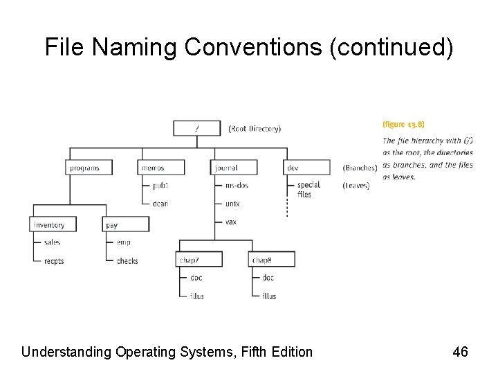 File Naming Conventions (continued) Understanding Operating Systems, Fifth Edition 46 