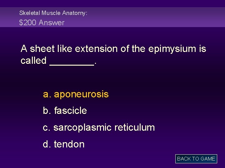 Skeletal Muscle Anatomy: $200 Answer A sheet like extension of the epimysium is called