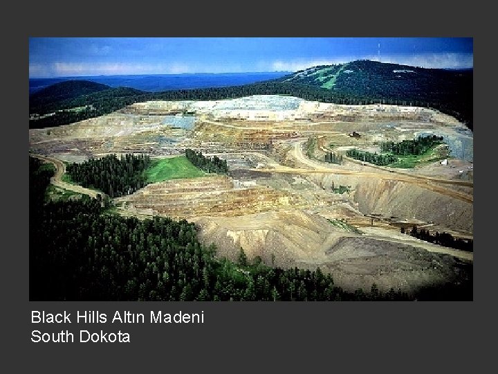 Black Hills Altın Madeni South Dokota 