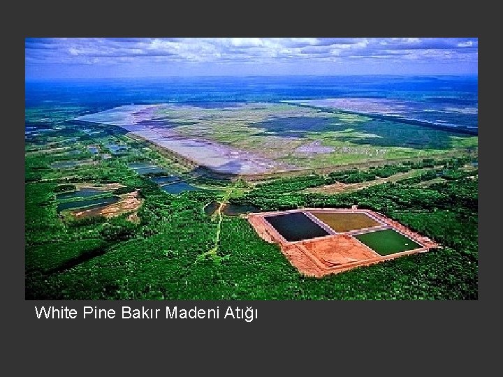 White Pine Bakır Madeni Atığı 