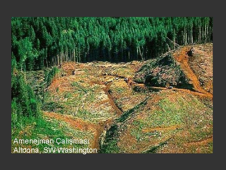 Amenejman Çalışması Altoona, SW Washington 