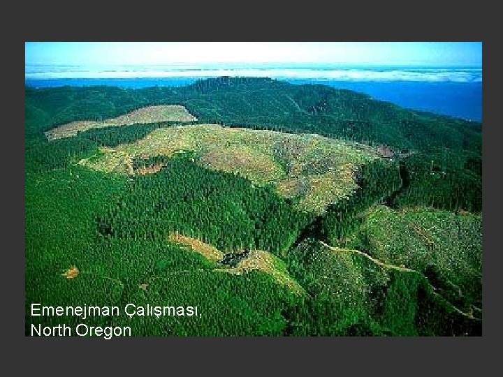 Emenejman Çalışması, North Oregon 