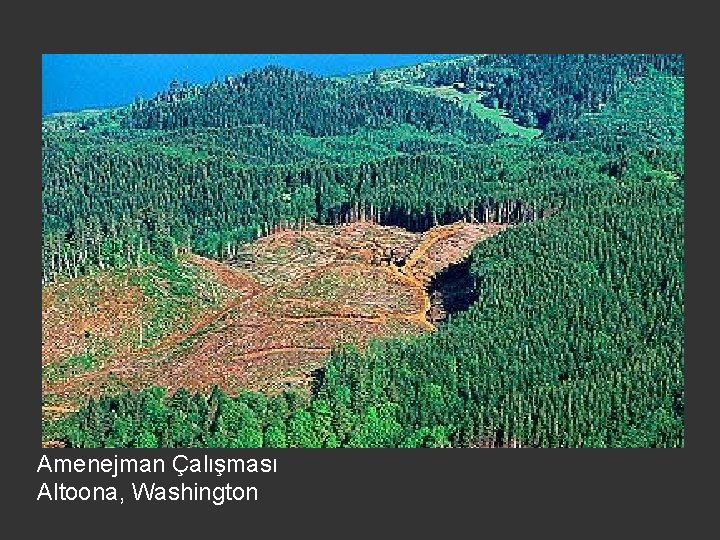 Amenejman Çalışması Altoona, Washington 