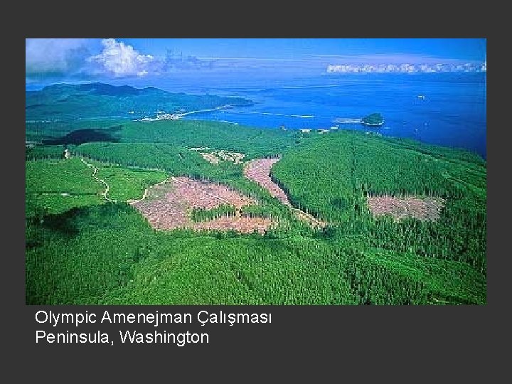 Olympic Amenejman Çalışması Peninsula, Washington 