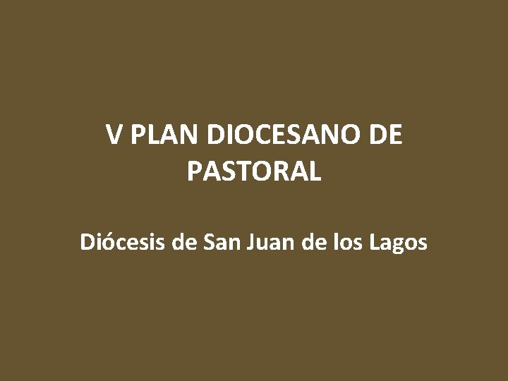 V PLAN DIOCESANO DE PASTORAL Diócesis de San Juan de los Lagos 