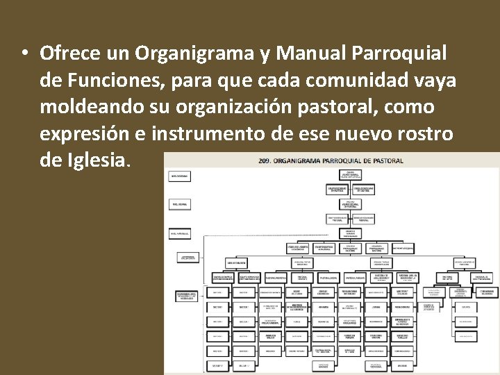  • Ofrece un Organigrama y Manual Parroquial de Funciones, para que cada comunidad