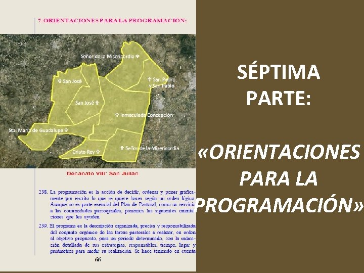 SÉPTIMA PARTE: «ORIENTACIONES PARA LA PROGRAMACIÓN» 