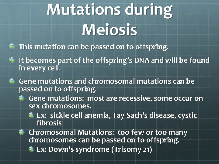 Mutations during Meiosis This mutation can be passed on to offspring. It becomes part