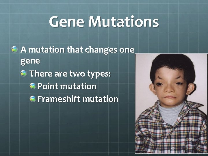 Gene Mutations A mutation that changes one gene There are two types: Point mutation