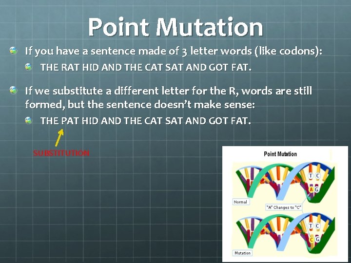 Point Mutation If you have a sentence made of 3 letter words (like codons):