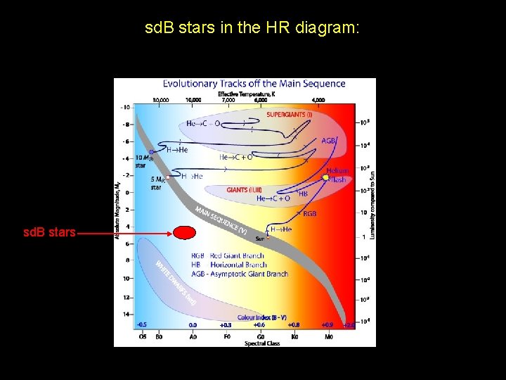 sd. B stars in the HR diagram: sd. B stars 