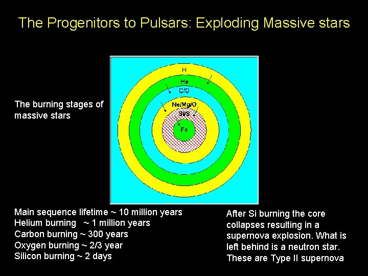 The Progenitors to Pulsars: Exploding Massive stars The burning stages of massive stars Main