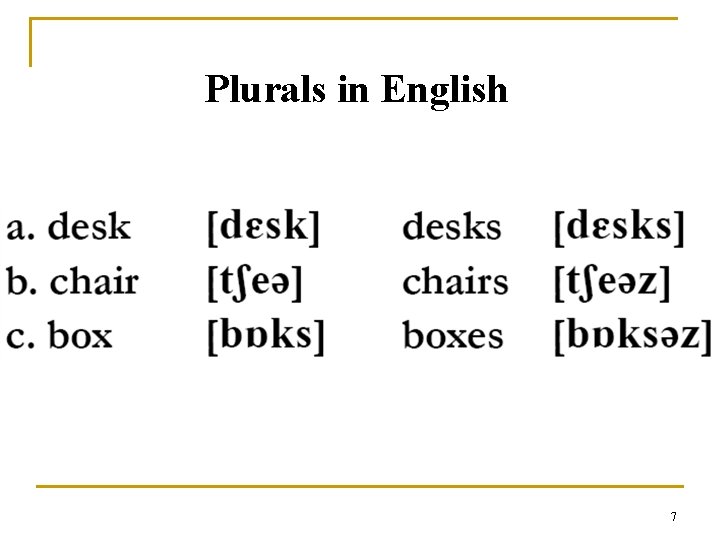 Plurals in English 7 