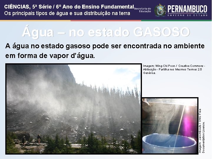 CIÊNCIAS, 5ª Série / 6º Ano do Ensino Fundamental Os principais tipos de água