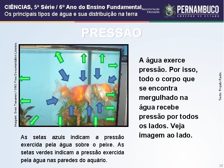 CIÊNCIAS, 5ª Série / 6º Ano do Ensino Fundamental Os principais tipos de água