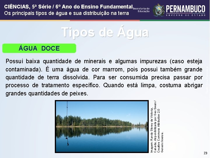 CIÊNCIAS, 5ª Série / 6º Ano do Ensino Fundamental Os principais tipos de água
