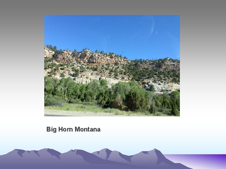 Big Horn Montana 