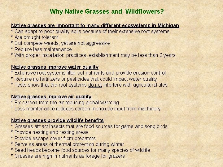 Why Native Grasses and Wildflowers? Native grasses are important to many different ecosystems in