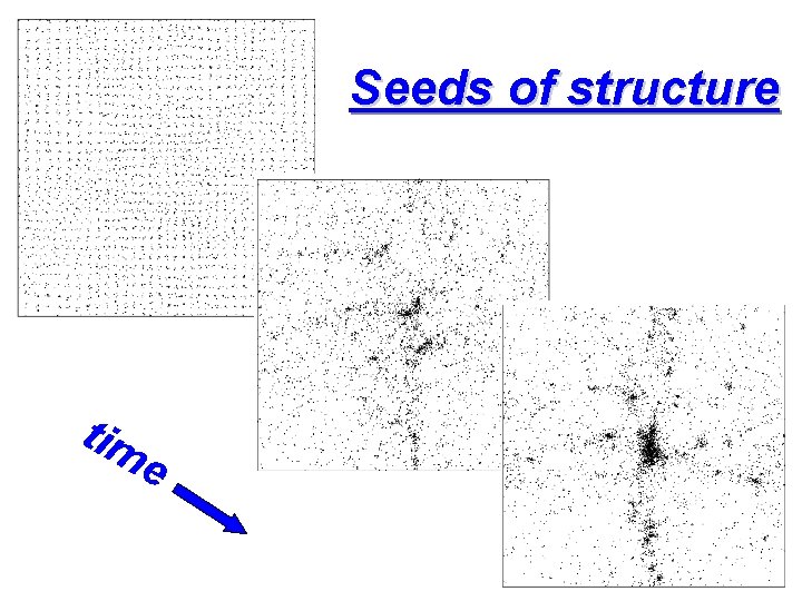 Seeds of structure tim e 