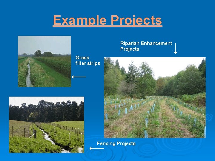 Example Projects Riparian Enhancement Projects Grass filter strips Fencing Projects 