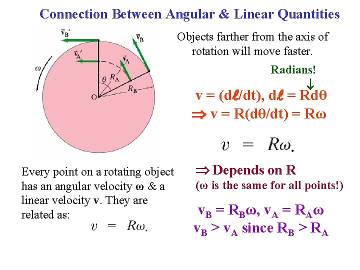 Connection Between Angular & Linear Quantities Objects farther from the axis of rotation will