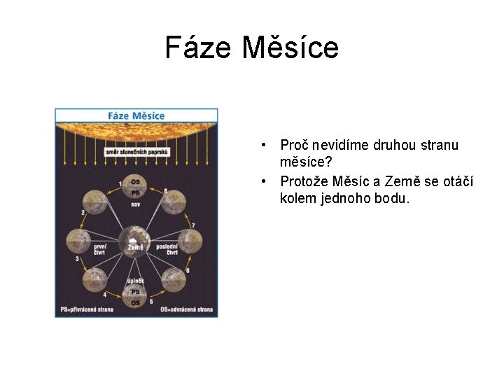 Fáze Měsíce • Proč nevidíme druhou stranu měsíce? • Protože Měsíc a Země se