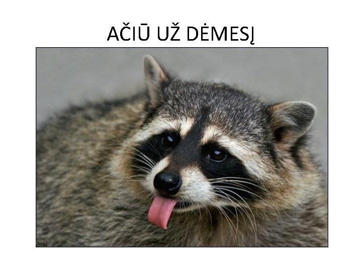 AČIŪ UŽ DĖMESĮ 