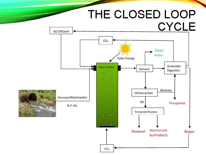 THE CLOSED LOOP CYCLE 