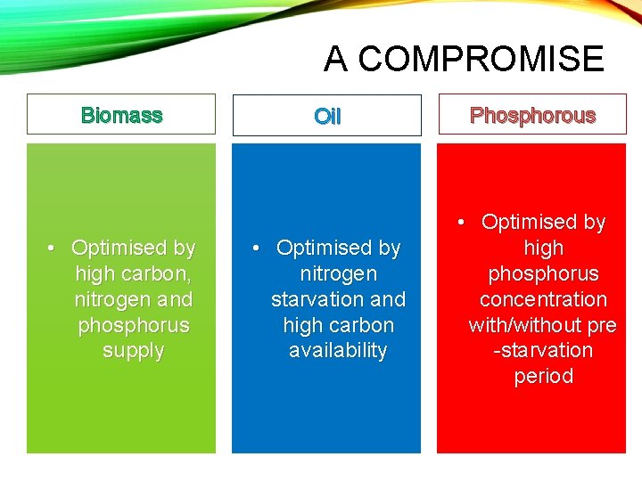 A COMPROMISE Biomass • Optimised by high carbon, nitrogen and phosphorus supply Oil Phosphorous