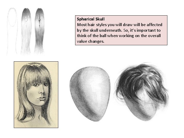 Spherical Skull Most hair styles you will draw will be affected by the skull