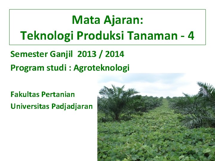 Mata Ajaran: Teknologi Produksi Tanaman - 4 Semester Ganjil 2013 / 2014 Program studi